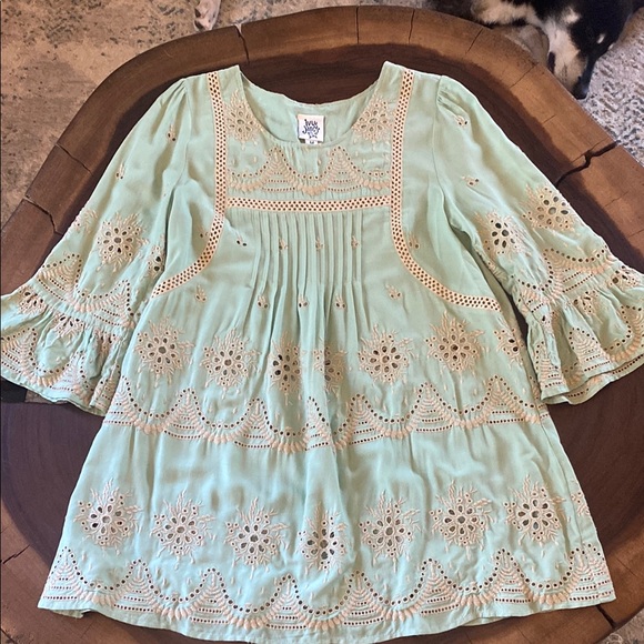 ivy jane Dresses & Skirts - Ivy Jane Light Green Embroidered and Eyelet Dress or tunic/ Size Medium